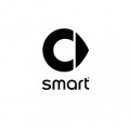 Smart Electric Vehicles